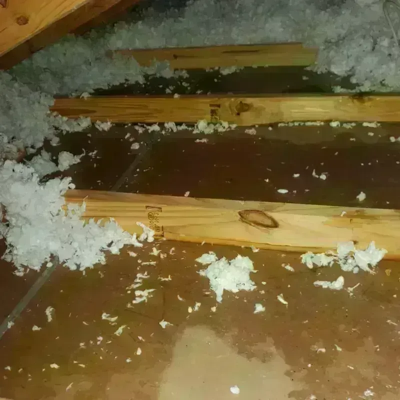 Attic Water Damage in Byron, MN