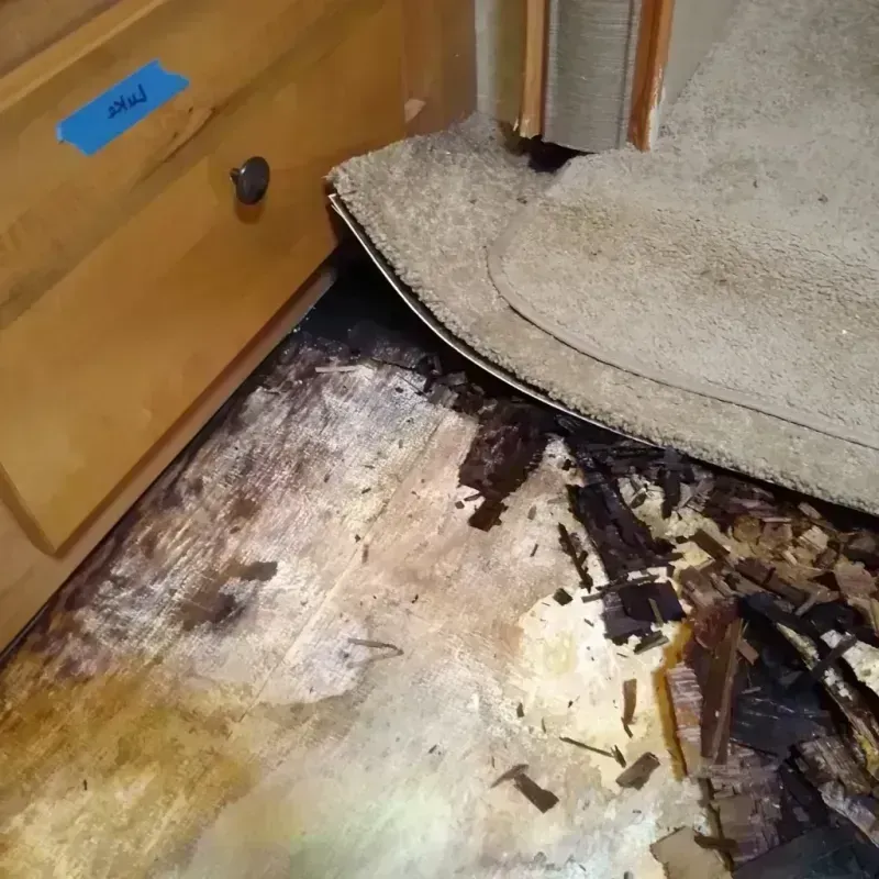 Wood Floor Water Damage in Byron, MN